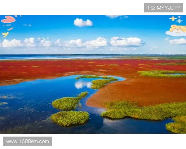 黄海之滨热浪涌盐城冬泳赛事燃寒冬
